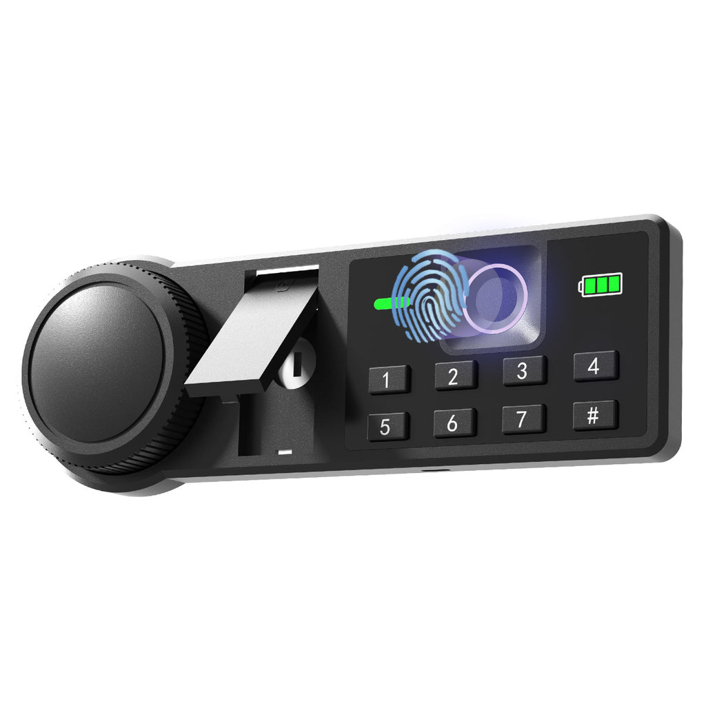 XDeer CS42 Biometric Safe for Home Use with Two Security Live Bolts, 1.7 Cubic Feet Jewelry Safe Lock Box